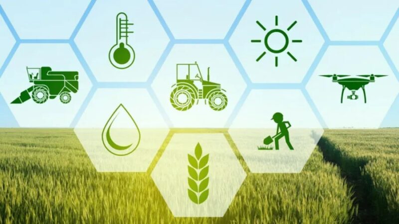 Agriculture